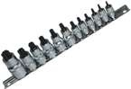 Nasadki Torx T 8-T60, 12 szt.