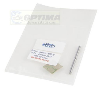 Denso Trzpień (Śr. 4,3mm) Dla: 095000-547#, 095000-890#, 095000-636#